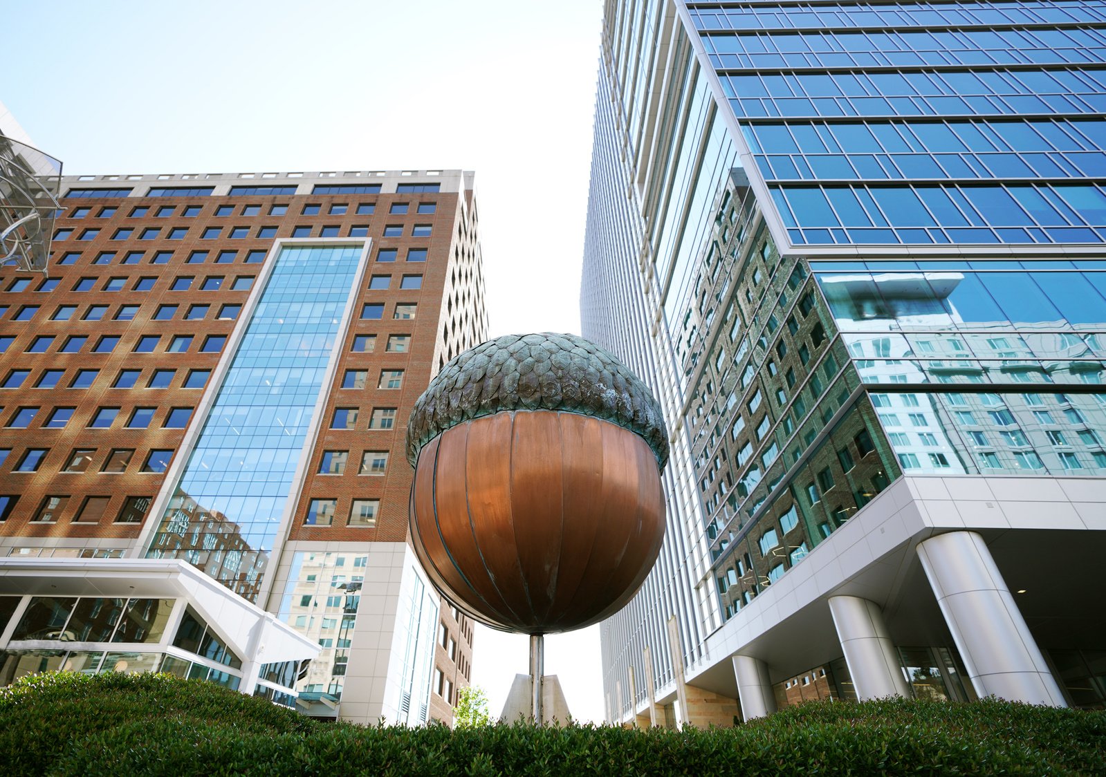 View of the acorn in downtown Raleigh NC on Fayetteville Street